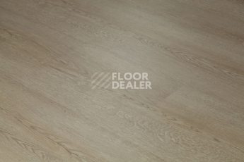 Tarkett Funky House Ricon фото 4 | FLOORDEALER